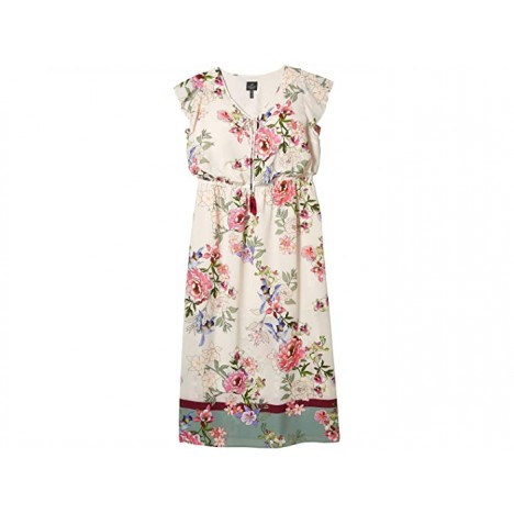 Adrianna Papell Plus Size Floral Border Print Maxi Dress